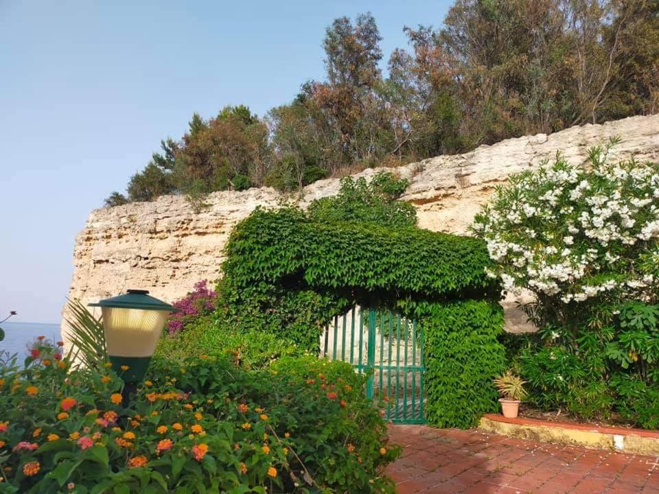 Seeonsea Apartment Agnone Bagni Exterior foto